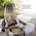 Guzzie+Guss Pet Portable Table Chair, Hook-On Highchair, Compact & Fits Most Tables - Charcoal image thumbnail 3