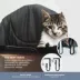 Guzzie+Guss Pet Portable Table Chair, Hook-On Highchair, Compact & Fits Most Tables - Charcoal image thumbnail 4