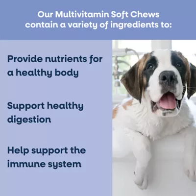 YumWell Senior Multivitamin Soft Chews for Mature Dogs Ages 7+, Beef Flavor, 90 Count - Image 2