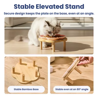PawsPik Cat Flower Ceramic Feeding Plate with Raised Bamboo Stand - Image 3