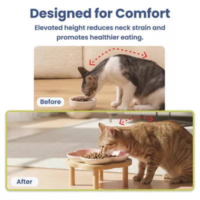 PawsPik Cat Flower Ceramic Feeding Plate with Raised Bamboo Stand - Image 7