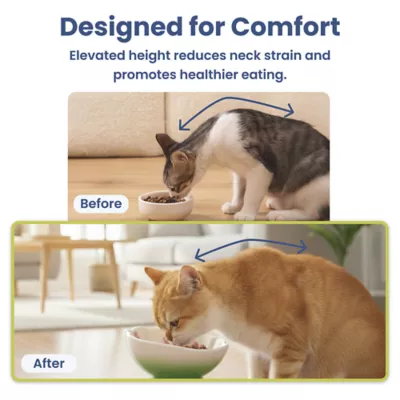 PawsPik Cat Strawberry Blooms Elevated Ceramic Slow Feed Bowl - Image 9