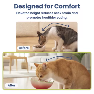 PawsPik Cat Strawberry Blooms Elevated Ceramic Slow Feed Bowl - Image 9