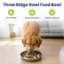 PawsPik Dog Stainless Steel Three-Ridged Slow Feeder Bowl image thumbnail 2