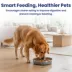 PawsPik Dog Stainless Steel Three-Ridged Slow Feeder Bowl image thumbnail 8