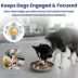 PawsPik Dog Stainless Steel Three-Ridged Slow Feeder Bowl image thumbnail 9