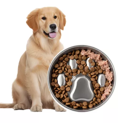 PawsPik Dog Stainless Steel Four-Ridged Slow Feeder Bowl - Image 1