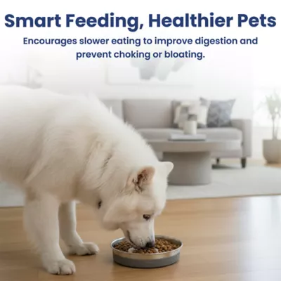 PawsPik Dog Stainless Steel Four-Ridged Slow Feeder Bowl - Image 8