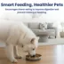 PawsPik Dog Stainless Steel Four-Ridged Slow Feeder Bowl image thumbnail 8