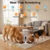 Instachew Purechew Sight Double Automatic Pet Feeder image thumbnail 2