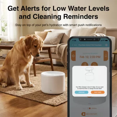 Instachew Purrflow Smart Pet Fountain - Image 3