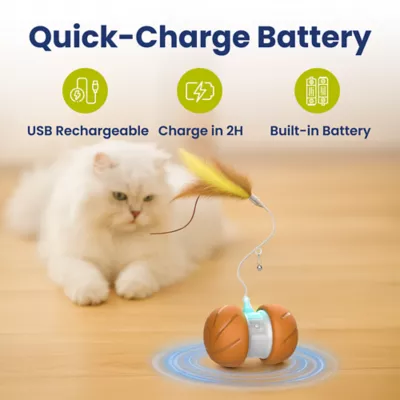 PawsPik Cat Feather Tail Rechargeable Spinnger Chasers Toy - Image 7