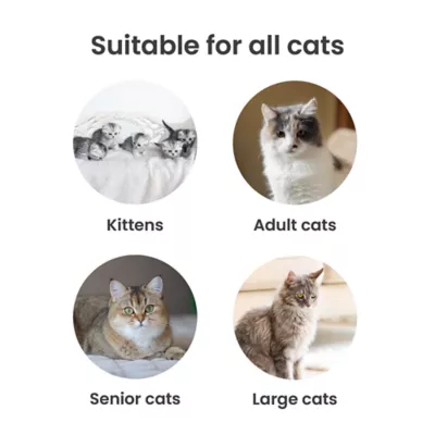 PawsPik Cat Stainless Steel Litter Box With Steps & Metal Scooper - 2-Pack - Image 7