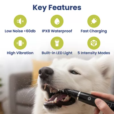 PawsPik Dog Ultrasonic Teeth Cleaner Dental Kit - Image 2