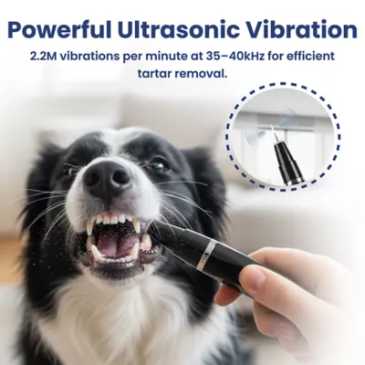 PawsPik Dog Ultrasonic Teeth Cleaner Dental Kit - Image 3