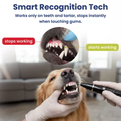 PawsPik Dog Ultrasonic Teeth Cleaner Dental Kit - Image 8