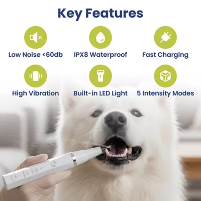 PawsPik Dog Ultrasonic Teeth Cleaner Dental Kit - Image 2