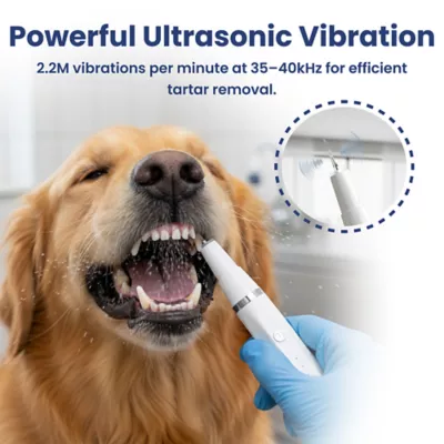 PawsPik Dog Ultrasonic Teeth Cleaner Dental Kit - Image 3