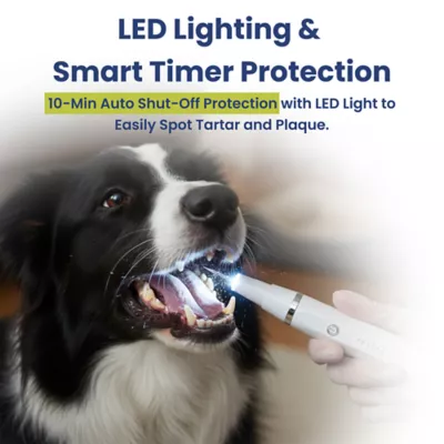 PawsPik Dog Ultrasonic Teeth Cleaner Dental Kit - Image 4