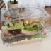 Mini & Moe Viewing Habitat - Small Pet Cage image thumbnail 5