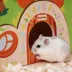 Mini & Moe Cottage Small Pet Hideout image thumbnail 7
