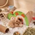 Mini & Moe Cottage Small Pet Hideout image thumbnail 8