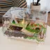 Mini & Moe Cottage Small Pet Hideout image thumbnail 9