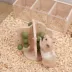 Mini & Moe Tree Decor Chew Small Pet Wood Chew Toy image thumbnail 6
