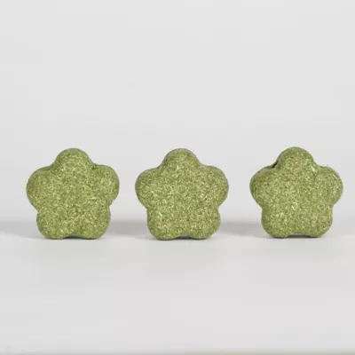 Mini & Moe Garden Decor Chew Small Pet Wood Chew Toy - Image 5