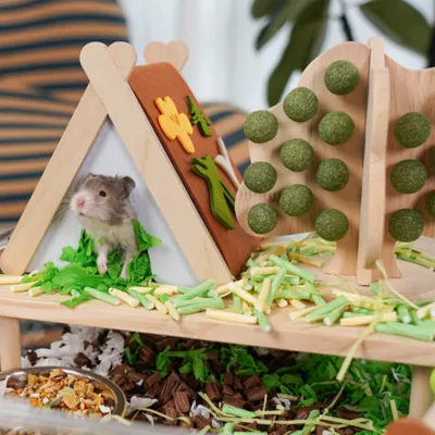 Mini & Moe Tent Small Pet Hideout - Image 7
