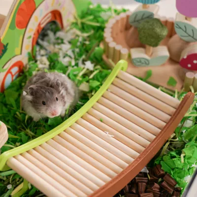 Mini & Moe Woodland Fairy Ladder Small Pet Climbing Ladder Toy - Image 5