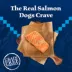 Blue Buffalo Wilderness High Protein, Salmon with Wholesome Grains Adult Dry Dog Food image thumbnail 3