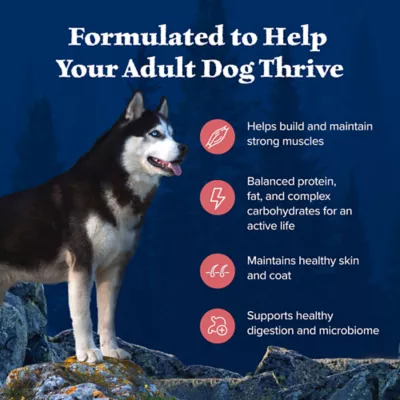 Blue Buffalo Wilderness High Protein, Salmon with Wholesome Grains Adult Dry Dog Food - Image 4
