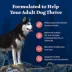 Blue Buffalo Wilderness High Protein, Salmon with Wholesome Grains Adult Dry Dog Food image thumbnail 4