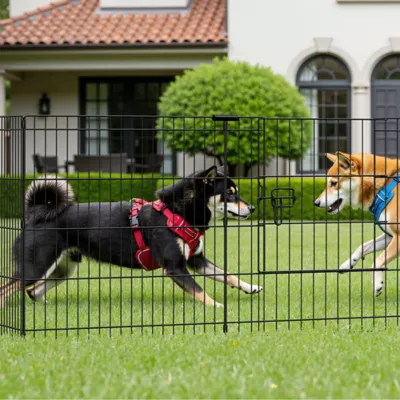 Yaheetech Portable 8-Panel Dog Playpen - 24" Tall, Black - Image 2