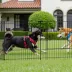 Yaheetech Portable 8-Panel Dog Playpen - 24" Tall, Black image thumbnail 2