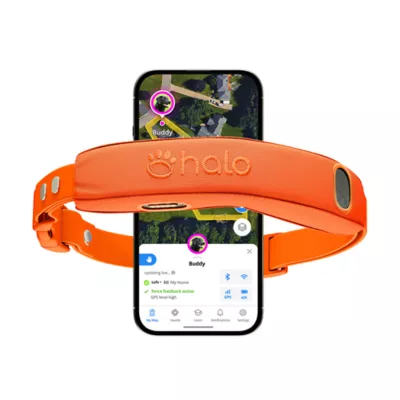 Halo Collar 5, Adjustable Wireless Dog Fence & GPS Collar, Includes Magnetic Charger & Halo Pro Case - Image 1