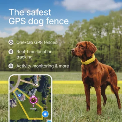 Halo Collar 5 Wireless Dog Fence & GPS Dog Collar - Image 2