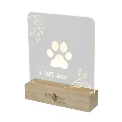 Petit Artichaut Illuminated Frame - Image 1