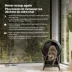 Litter-Robot 4 Ramp image thumbnail 3