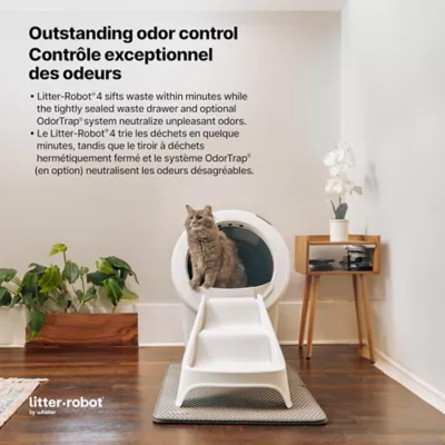 Litter-Robot 4 Ramp - Image 5