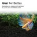 Fluval Betta Fish Stratum - 0.8kg (1.76 lb) image thumbnail 3