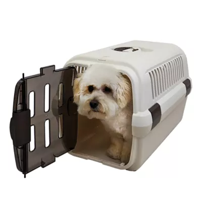 Richell Pet Travel Carrier II W/ Portable Handle, Seat Belt Latch & Slotted Door For Veiwing, White - Image 5