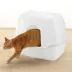 Richell Paw Trax Wide Hooded Cat Litter Box For Large Cats Or Multi-Cat Households, Scoop Included image thumbnail 3