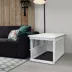 Richell Wooden End Table Dog Crate, Furniture-Style Pet Enclosure W/ Removable Sliding Tray, White image thumbnail 4