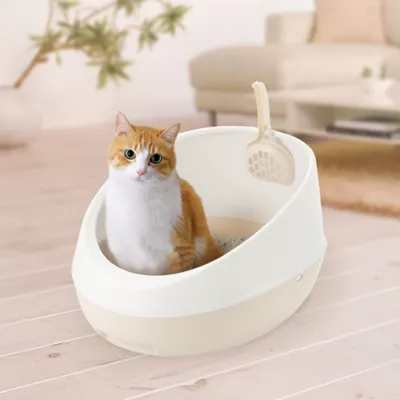 Richell Paw Trax Open-Pan Rimmed Cat Litter Box Made W/ Durable Plastic, Scoop Included - Image 4