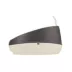 Richell Paw Trax Open-Pan Rimmed Cat Litter Box Made W/ Durable Plastic, Scoop Included image thumbnail 3