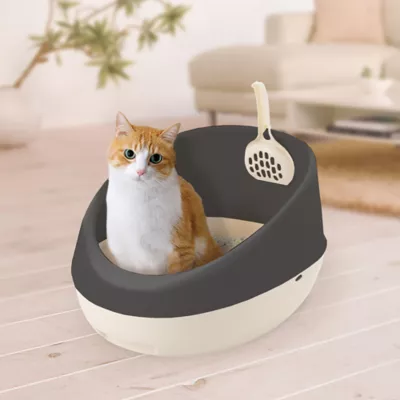 Richell Paw Trax Open-Pan Rimmed Cat Litter Box Made W/ Durable Plastic, Scoop Included - Image 4