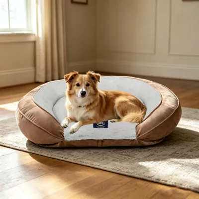 Serta Oval Orthopedic Couch Pet Bed - Blue, Gray, Taupe - Image 3