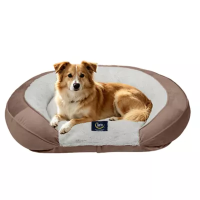 Serta Oval Orthopedic Couch Pet Bed - Blue, Gray, Taupe - Image 5